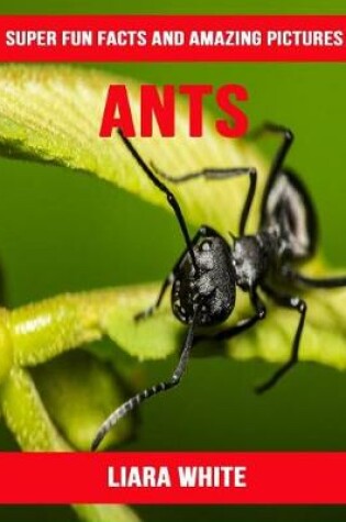 Cover of Ants