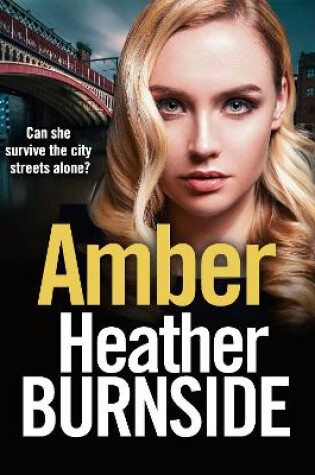 Cover of Amber