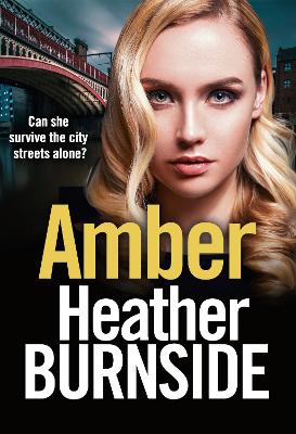 Cover of Amber