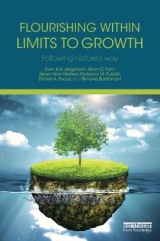 Cover of Flourishing Within Limits to Growth