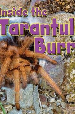 Cover of Inside the Tarantula's Burrow