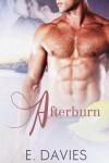 Book cover for Afterburn