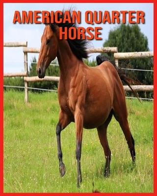 Book cover for American Quarter Horse