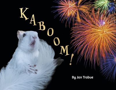 Book cover for Kaboom!