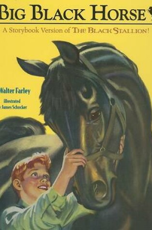 Cover of Big Black Horse