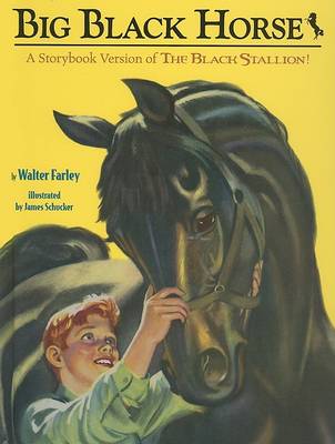 Book cover for Big Black Horse