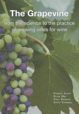 Book cover for The Grapevine