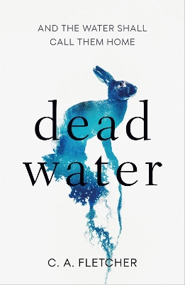 Book cover for Dead Water