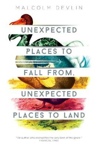 Cover of Unexpected Places to Fall From, Unexpected Places to Land