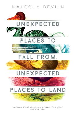 Book cover for Unexpected Places to Fall From, Unexpected Places to Land