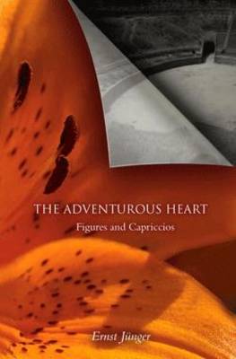 Book cover for The Adventurous Heart