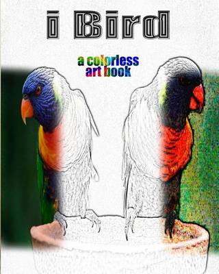 Book cover for Ibird