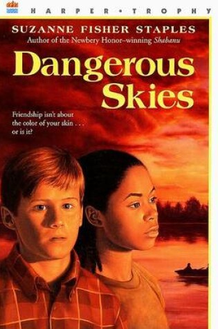 Cover of Dangerous Skies