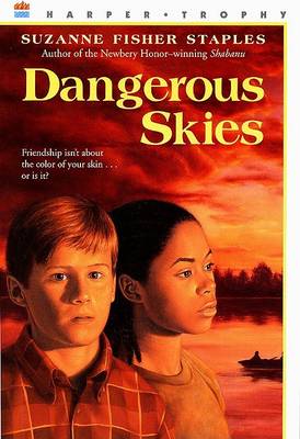 Book cover for Dangerous Skies
