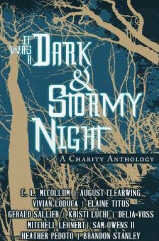 Cover of It Was A Dark & Stormy Night