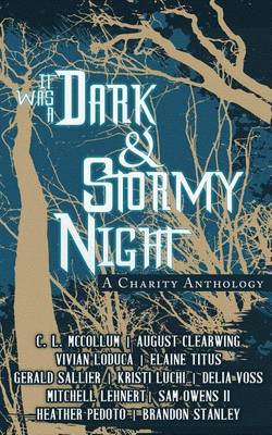 Book cover for It Was A Dark & Stormy Night