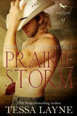 Cover of Prairie Storm