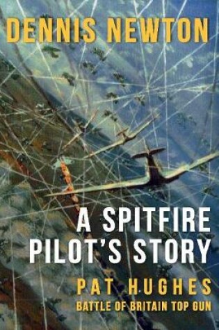 Cover of A Spitfire Pilot's Story