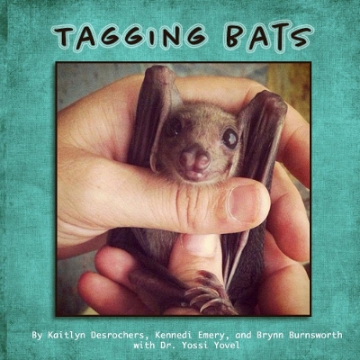 Book cover for Tagging Bats