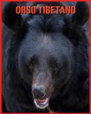 Book cover for Orso Tibetano