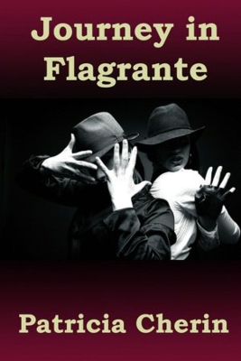 Book cover for Journey In Flagrante