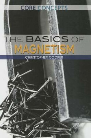 Cover of The Basics of Magnetism