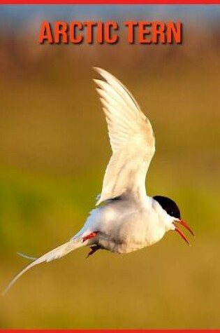 Cover of Arctic Tern