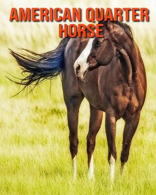 Book cover for American Quarter Horse