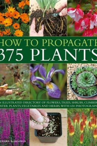 Cover of How to Propagate 375 Plants