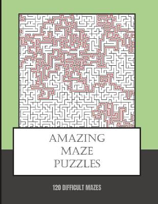 Book cover for Amazing Maze Puzzles