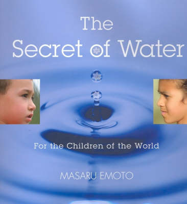 Book cover for The Secret of Water