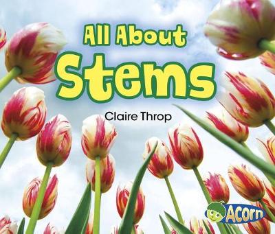 Book cover for All About Plants All About Stems