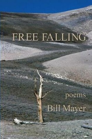 Cover of Free Falling