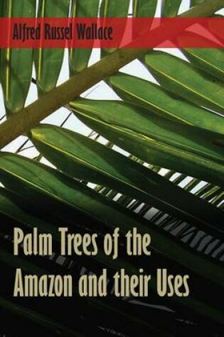 Cover of Palm Trees of the Amazon and Their Uses