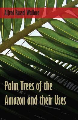 Book cover for Palm Trees of the Amazon and Their Uses