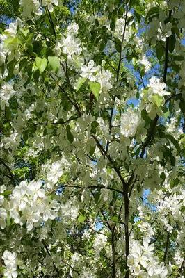 Book cover for 2020 Weekly Planner Beautiful Springtime Flowering Tree 134 Pages