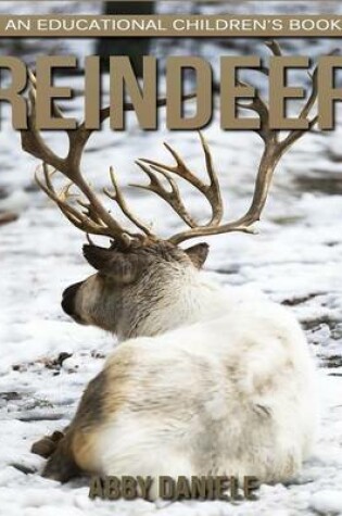 Cover of Reindeer! An Educational Children's Book about Reindeer with Fun Facts & Photos