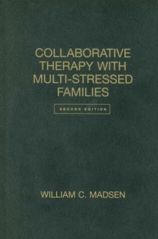 Cover of Collaborative Therapy with Multi-Stressed Families