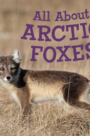 Cover of All About Arctic Foxes