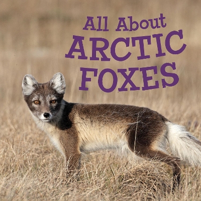 Book cover for All About Arctic Foxes