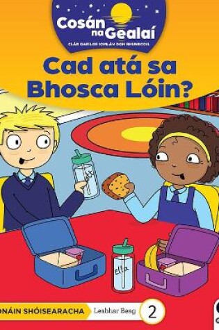 Cover of COSÁN NA GEALAÍ Cad atá sa Bhosca Lóin?