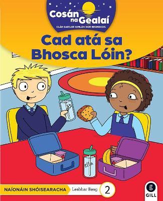 Cover of COSÁN NA GEALAÍ Cad atá sa Bhosca Lóin?