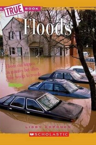 Cover of Floods (a True Book: Earth Science)