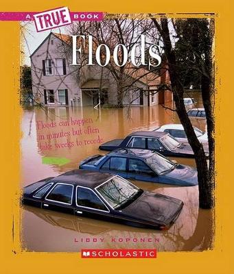 Cover of Floods (a True Book: Earth Science)