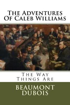 Book cover for The Adventures Of Caleb Williams