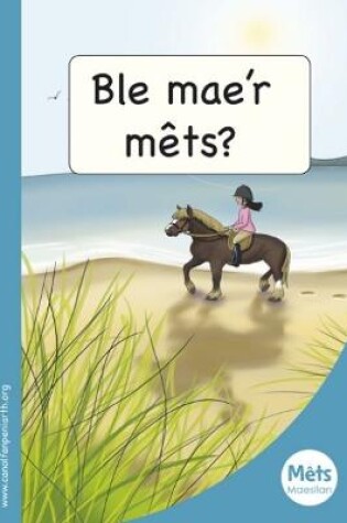 Cover of Mêts Maesllan: Ble Mae'r Mêts?