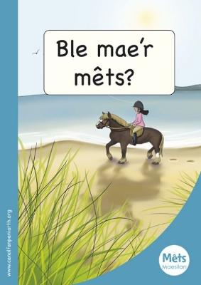 Book cover for Mêts Maesllan: Ble Mae'r Mêts?