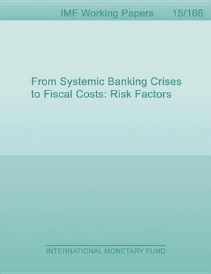 Book cover for From Systemic Banking Crises to Fiscal Costs