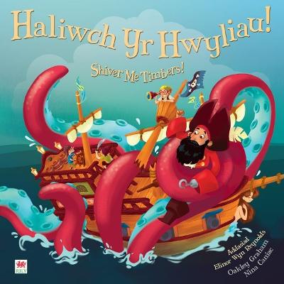 Book cover for Haliwch yr Hwyliau! / Shiver Me Timbers!