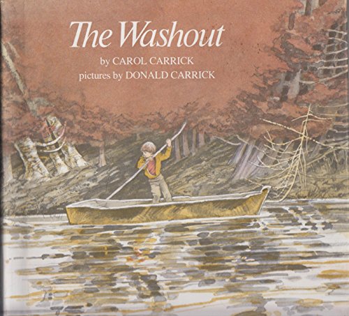 Book cover for The Washout